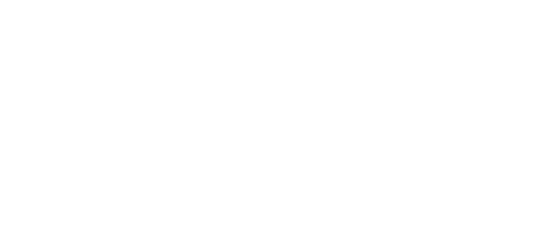 White Nimpor Logo